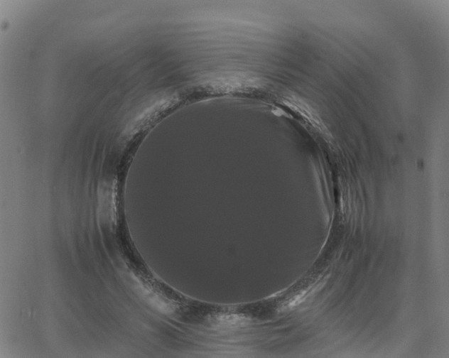 X0000062830590200601201615