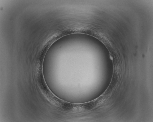 X0000062830591200601201615