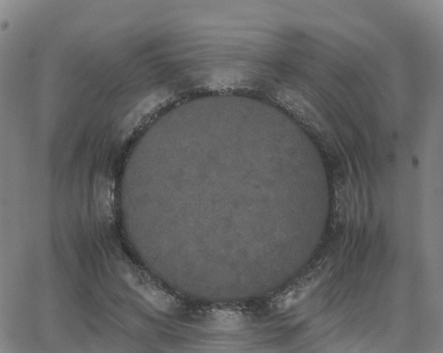 X0000062830592200601201615