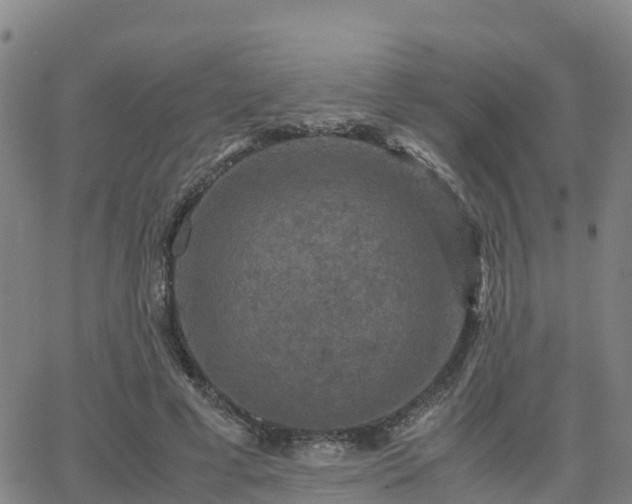 X0000062830593200601201615