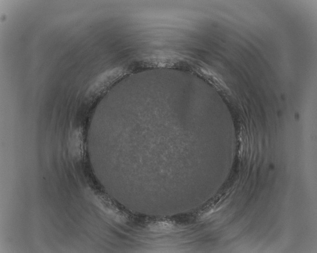 X0000062830594200601201615