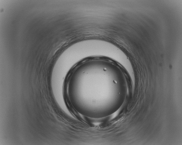 X0000062830595200601201615