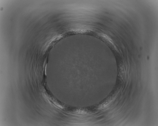 X0000062830596200601201615