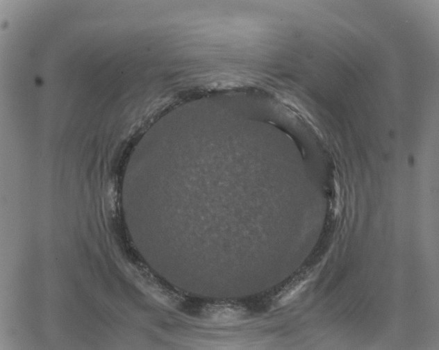 X0000062830597200601201615