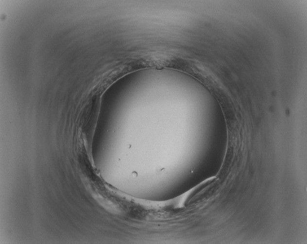 X0000062830599200601201615