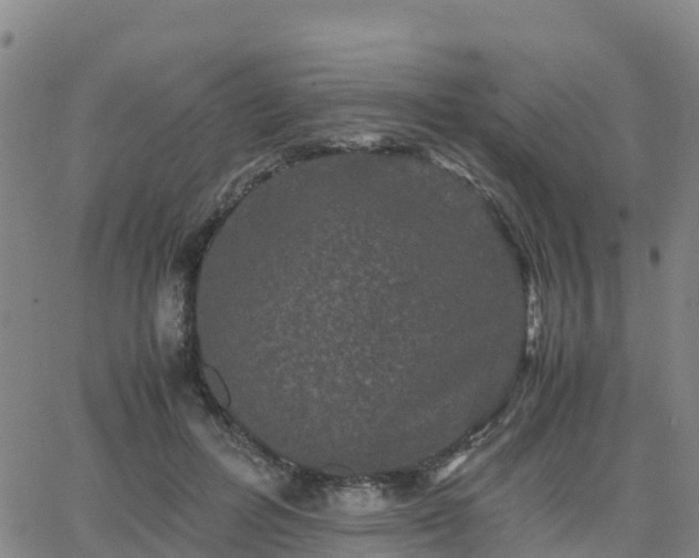 X0000062830600200601201614