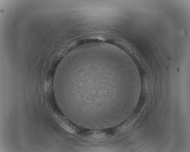 X0000062830601200601201614