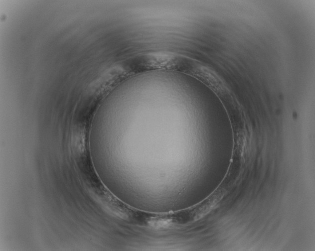 X0000062830602200601201614