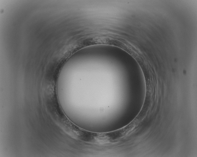 X0000062830603200601201614