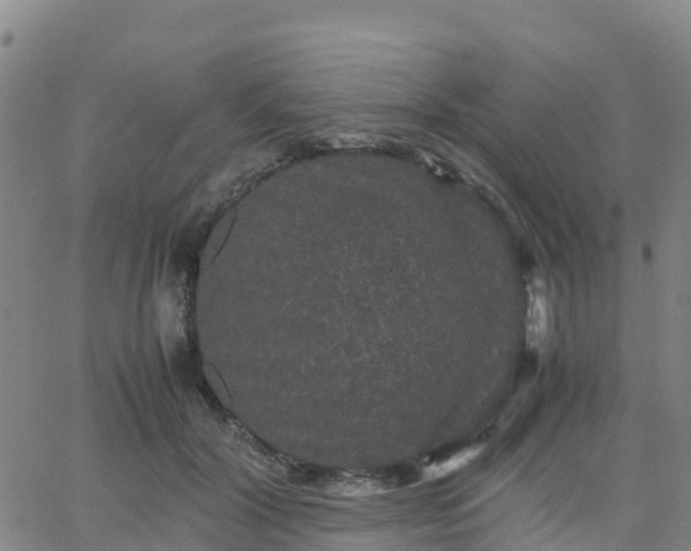 X0000062830604200601201614