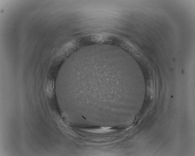 X0000062830605200601201614