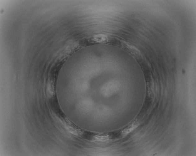 X0000062830606200601201614