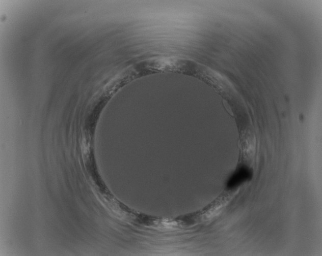 X0000062830607200601201614