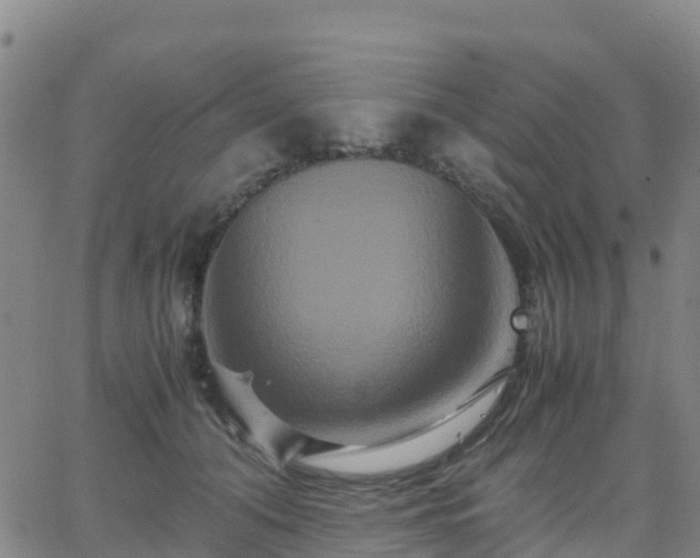 X0000062830608200601201614