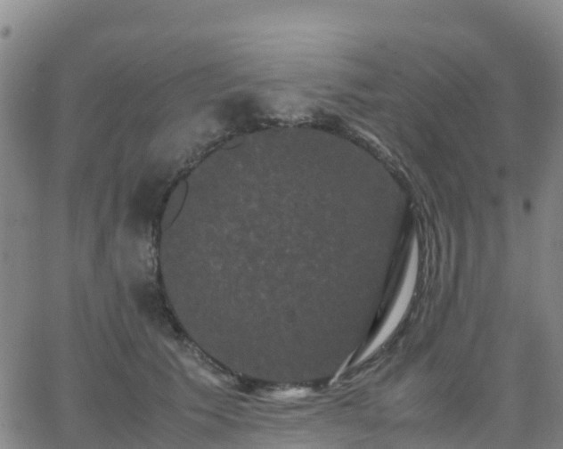 X0000062830609200601201614