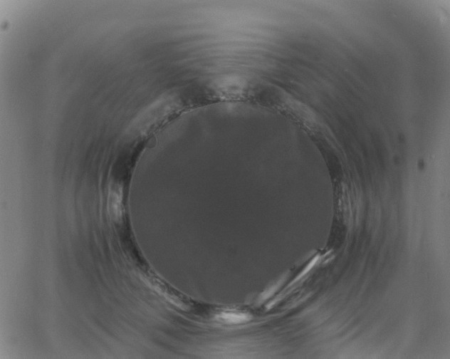 X0000062830610200601201614