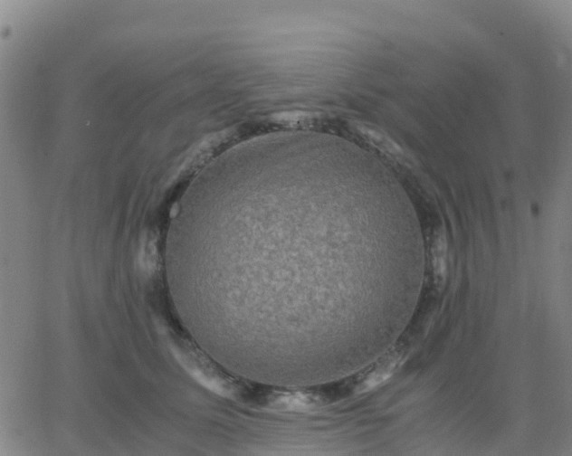 X0000062830611200601201614