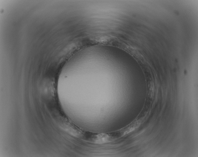 X0000062830612200601201614