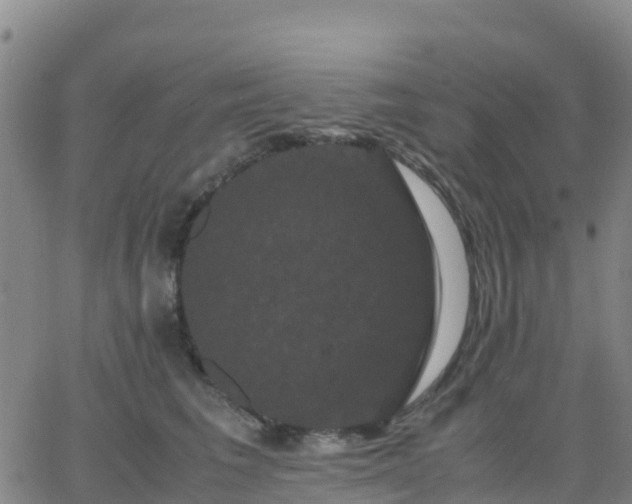 X0000062830613200601201614