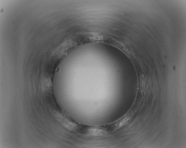 X0000062830614200601201614