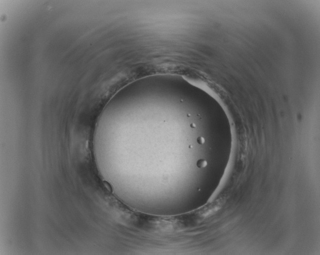 X0000062830615200601201614