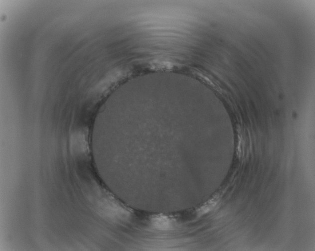 X0000062830616200601201614