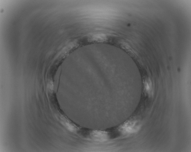 X0000062830617200601201614