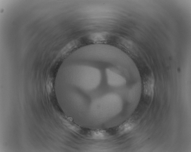 X0000062830618200601201614