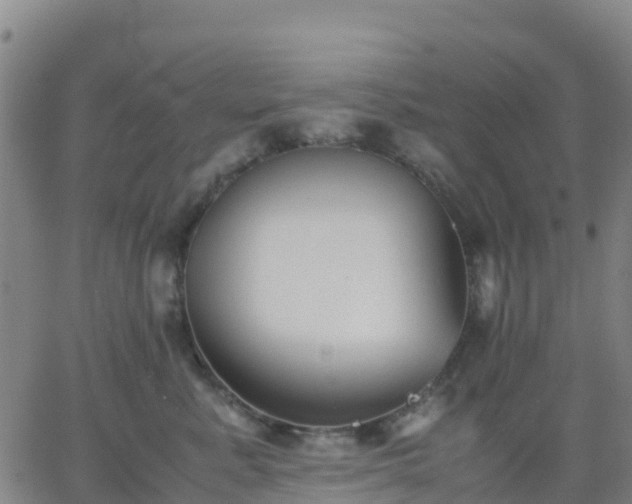 X0000062830619200601201614