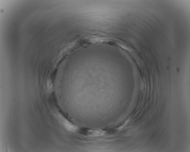 X0000062830621200601201614