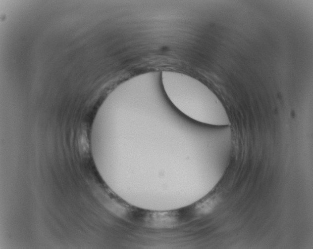 X0000062830622200601201614