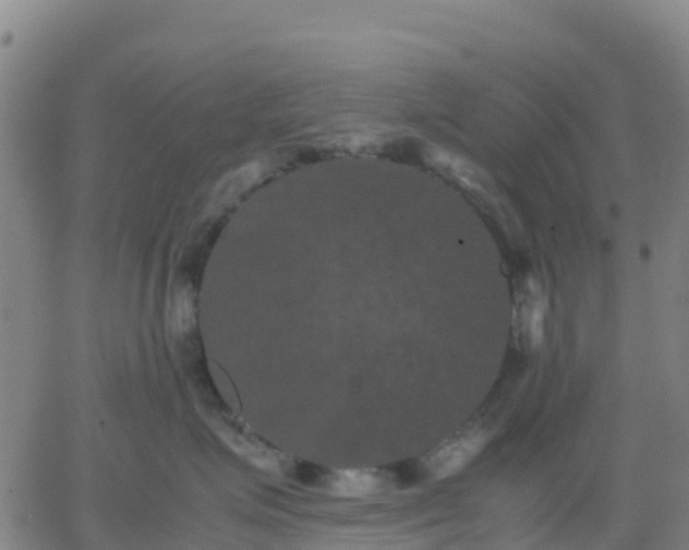 X0000062830623200601201614