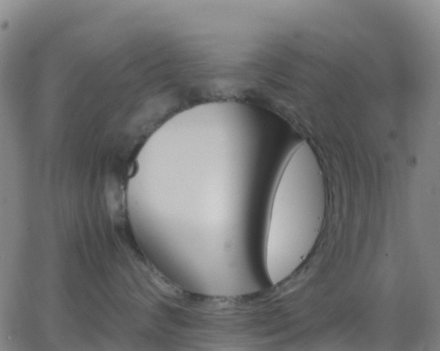 X0000062830624200601201614