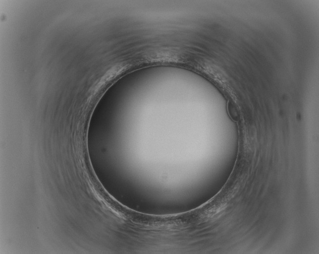 X0000062830625200601201613