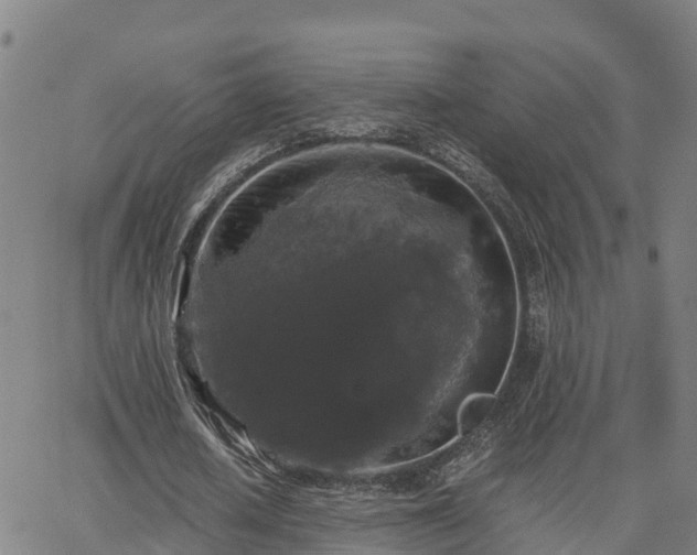 X0000062830626200601201613