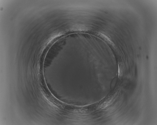 X0000062830627200601201613