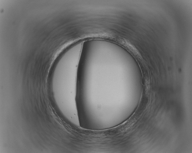 X0000062830628200601201613