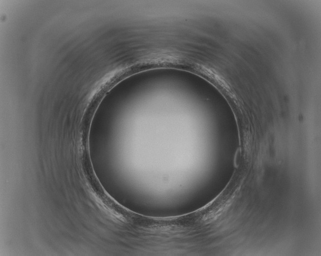 X0000062830629200601201613