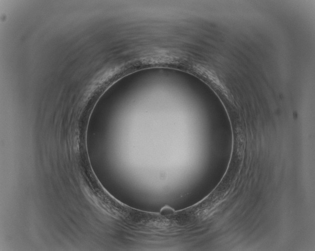 X0000062830631200601201613