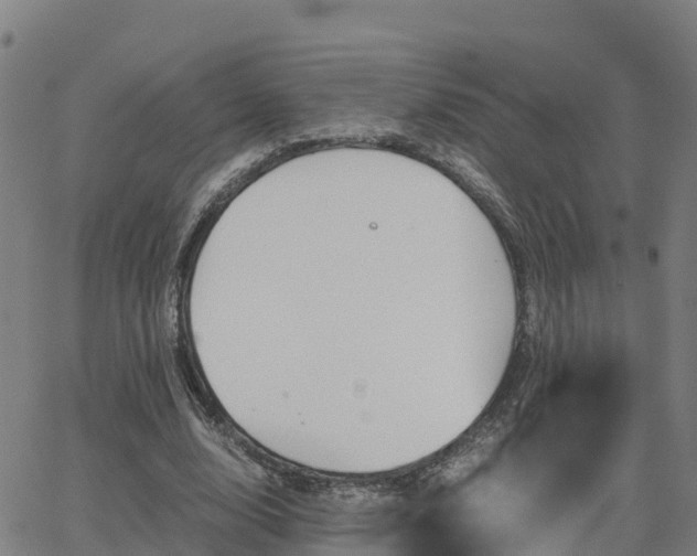 X0000062830632200601201613