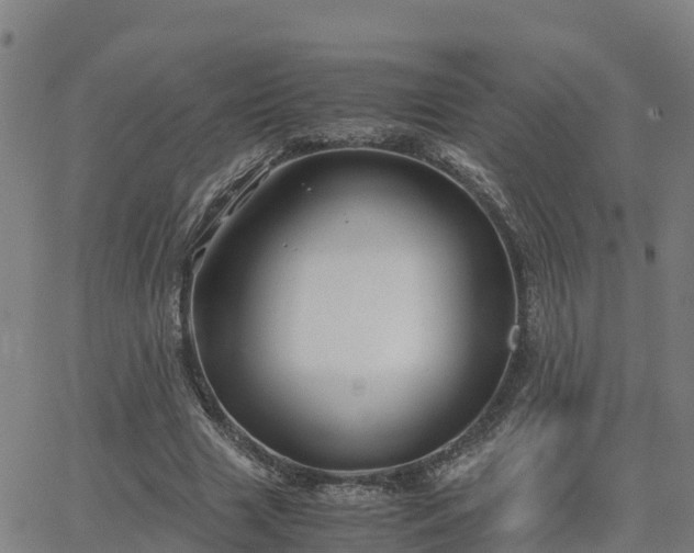 X0000062830633200601201613