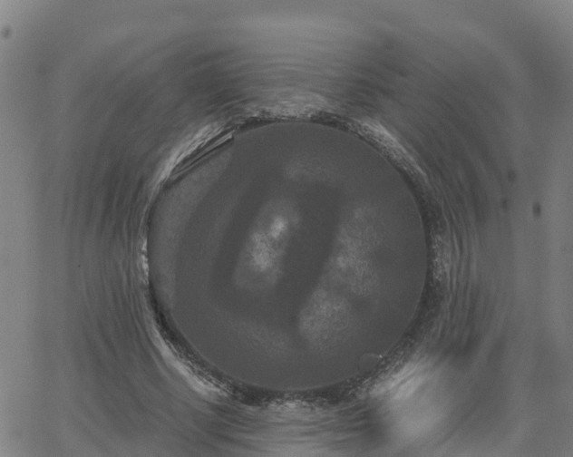 X0000062830634200601201613