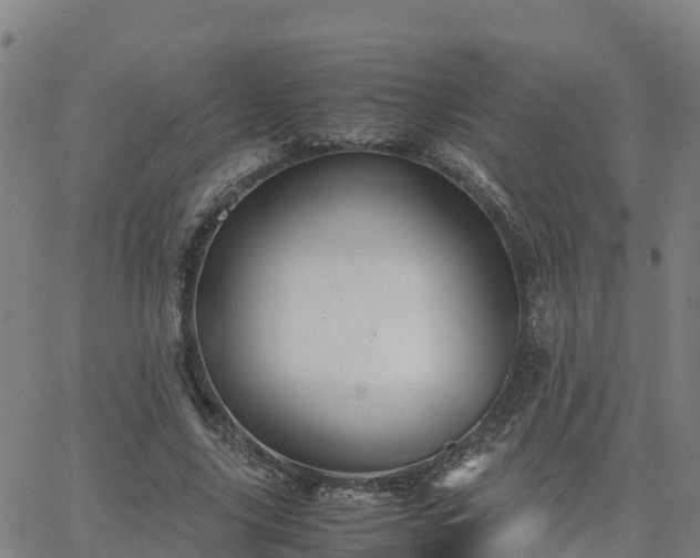 X0000062830635200601201613