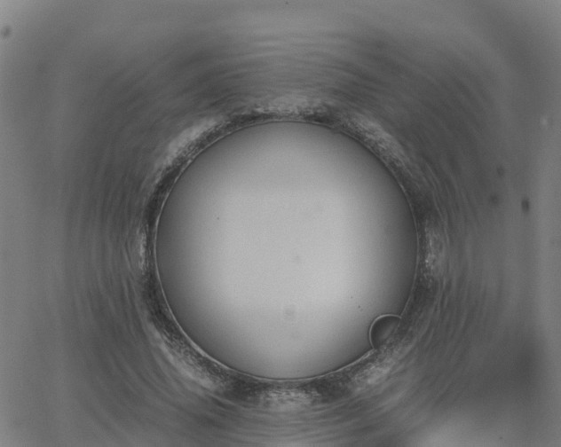 X0000062830636200601201613