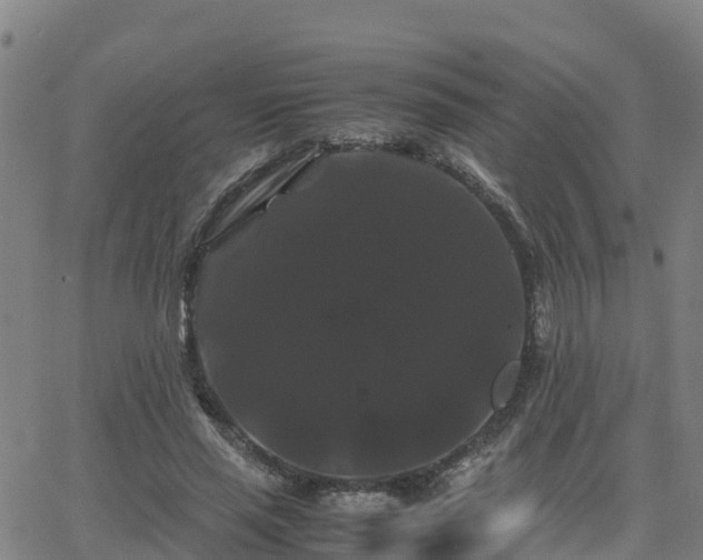 X0000062830637200601201614