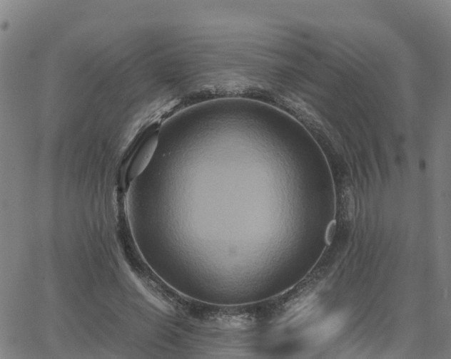 X0000062830638200601201614