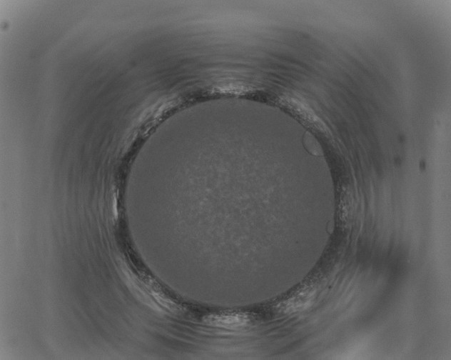 X0000062830639200601201614