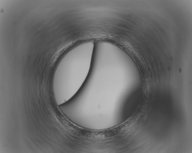 X0000062830640200601201614