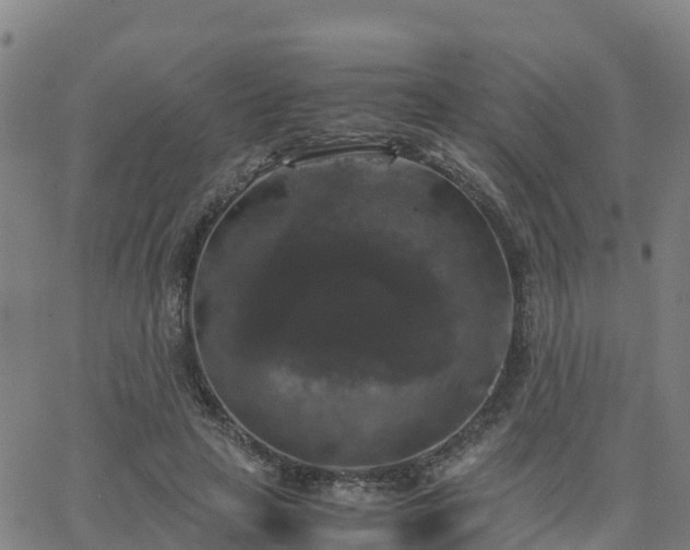 X0000062830641200601201614