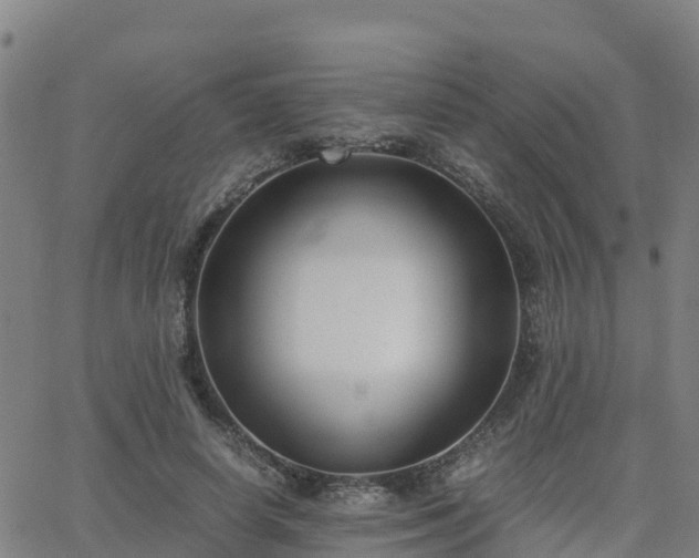 X0000062830642200601201614